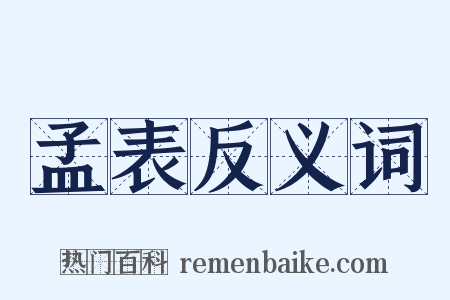 孟表反义词是什么意思的图片